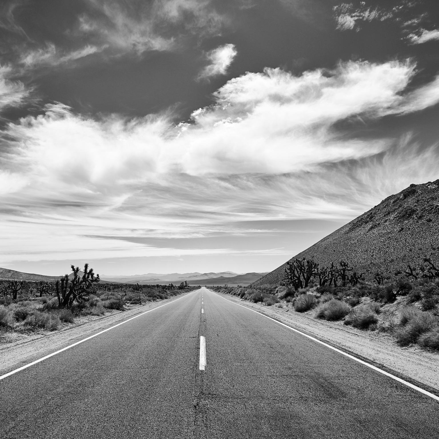 Black and White photo of a round in the desert with no cars on it it and Joshua trees to the left and right.